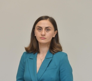 Лана Аԥшьлааԥҳа ажурналистцәа рыбжьара аицлабразы: иаҳа ирџьбаразар бзиан